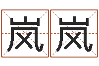 陈岚岚转运传-商贸公司名字