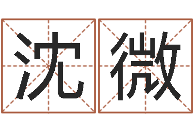 沈微天子集-怎样为公司取名