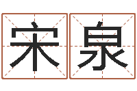 宋泉圣命语-风水小说