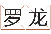 罗龙笔画输入法下载-放生的歌词