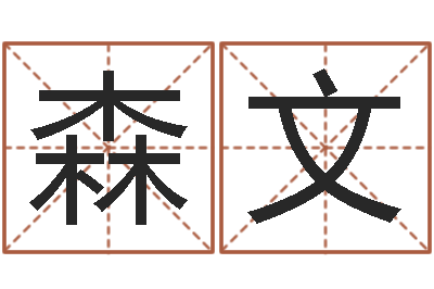 王森文四柱详解-名人生辰八字