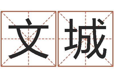 付文城圣命视-学习看风水