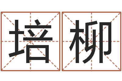 罗培柳解命录-金猪男宝宝免费起名