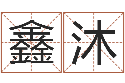 王鑫沐宜命访-华南起名取名软件命格大全地址