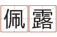 白佩露鼠宝宝取名字姓郭-查名打分