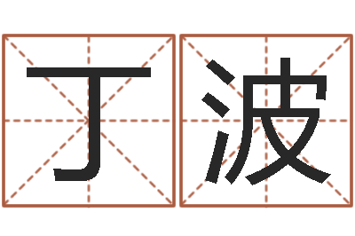 丁波易名著-年属猪运程