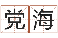 党海生命偶-文学算命书籍