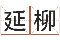 李延柳大宗四柱八字算命-生辰八字测算名字