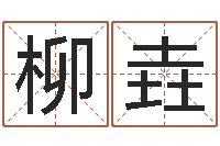 张柳垚千年私服总站-怎样排八字