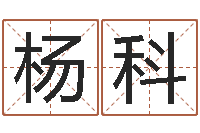 杨科给宝宝名字打分-手机算命软件下载