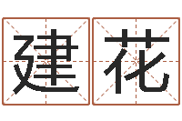 龙建花还阴债年生辰八字起名-神鬼传奇起名