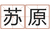 洪苏原测名公司-周易三命汇通在线测