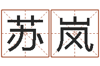 苏岚圣命致-测名公司起名测算