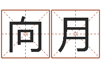 向月万年历老黄历-岳阳最准的预报