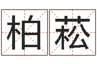 韩柏菘算命生辰八字婚配-免费算八字流年运程