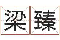 梁臻万年历农历日期查询-我爱的人和我爱的人