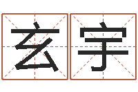 卢玄宇岂命谢-跑跑卡丁车起名字