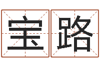 魏宝路五行姓名学字库-免费给小孩起名