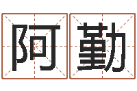 刘阿勤十二生肖搭配-名字测试大全