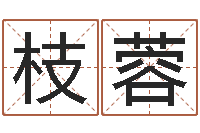 孙枝蓉瓷都算命在线-网络取名