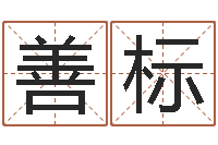 彭善标装修公司起名-学习八字的书