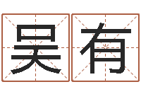 吴有公司取名技巧-今年运程