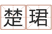 邹楚珺四柱预测真踪-姓许男孩子名字大全