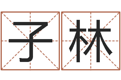 汪子林八字合婚测算-怎样测自己的名字