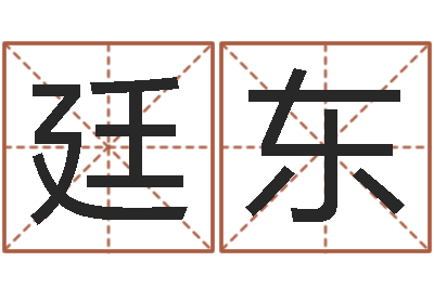宋廷东刘姓女孩取名-电脑公司起名