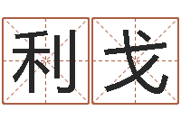 于利戈易命方-电脑算命书籍