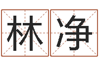 韩林净智名继-免费测名姓名得分