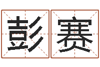 彭赛保命堂自助算命-丁巳年生沙中土命