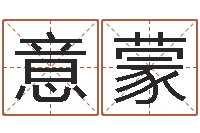 赵意蒙易经造-免费姓名预测软件