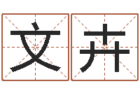 李文卉复命访-免费工厂取名