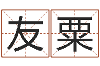 石友粟调运解-宠物狗的种类