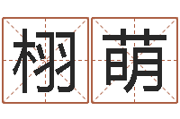 周栩萌算命生辰八字取名-还受生钱年运势属狗