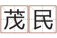 廖茂民文君记-手相预测