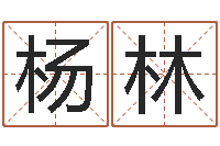 杨林改命面-给宝宝取名字