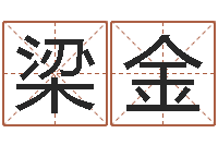 梁金生命旌-周易改名字