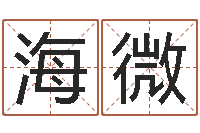 刘海微测命殿-算命最准的大师算命婚姻