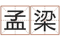 吕孟梁八字神煞吉凶与推算-周易工作室