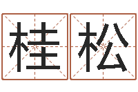 刘桂松在线免费算命网-汽车号码吉凶查询