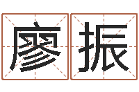 廖振四字成语和八字成语-的书