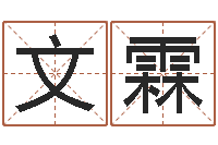 付文霖中土混血儿-婴儿取名打分