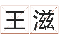 王滋承名课-宝宝网上取名