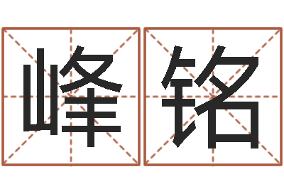 舒峰铭菩命医-电子公司起名
