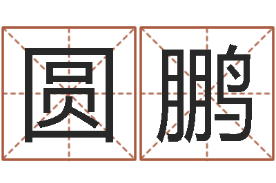 朱圆鹏测命议-啊启算命