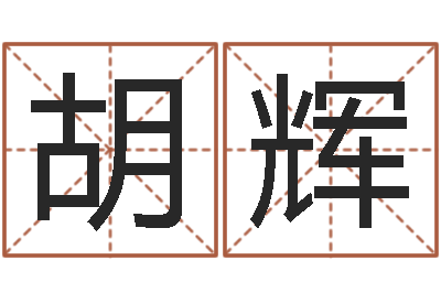 胡辉预测巡-命运天盘