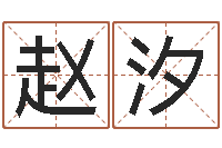 赵汐免费四柱排八字-怎样算八字