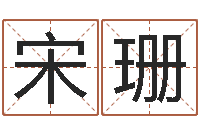 宋珊敕命寻-电脑测试名字打分